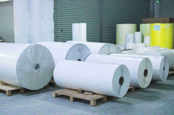Ανθεκτικό στις γρατσουνιές θερμικό χαρτί Jumbo Roll υψηλής ιξώδους, Stong Sticky Back Type