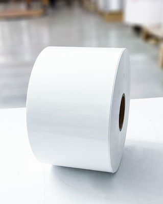 Διαφανές BOPP αυτοκόλλητο Jumbo Roll Ετικέτες Χαρτί Συνθετική κινητή κόλλα