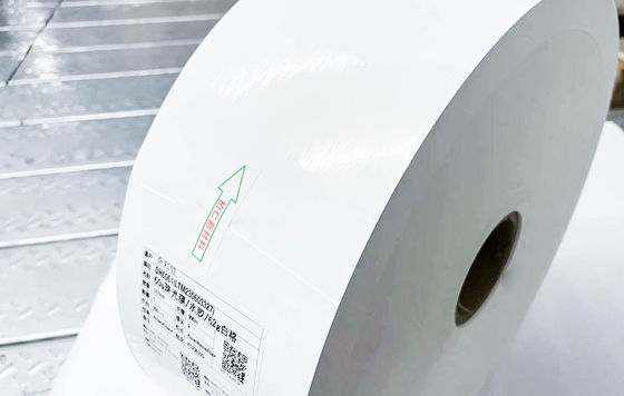 Διαφανές BOPP αυτοκόλλητο Jumbo Roll Ετικέτες Χαρτί Συνθετική κινητή κόλλα