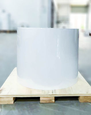 Καλή τιμή Κανονική κόλλα, καθαρή ετικέτα BOPP, κόλλα πετρελαίου, κόλλα καλλιεργητικού χαρτιού σε απευθείας σύνδεση